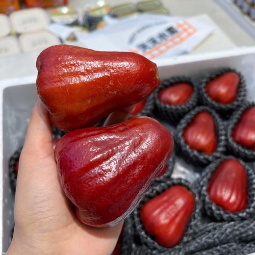 海南黑金刚莲雾 海南空运 好好吃的莲雾 商品图1