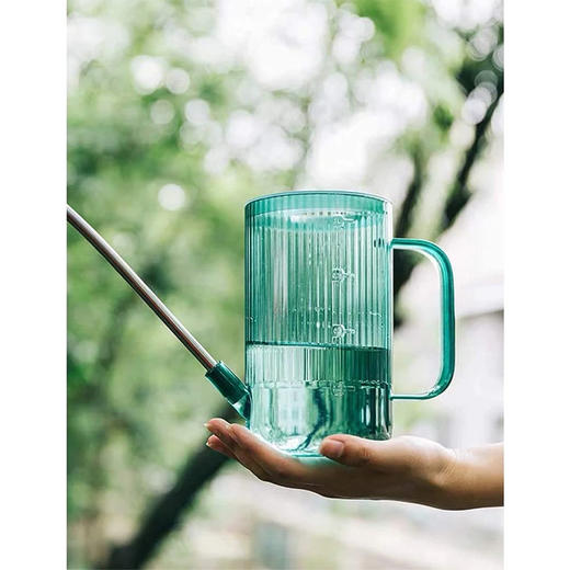 美国 不锈钢长嘴浇水壶 园艺浇花盆栽工具 透明水壶 大容量1L 商品图1