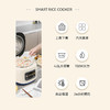 SCHNEIDER（施耐德）智能电饭煲4L SWK-XFL47 商品缩略图1