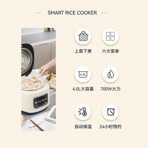 SCHNEIDER（施耐德）智能电饭煲4L SWK-XFL47 商品图1