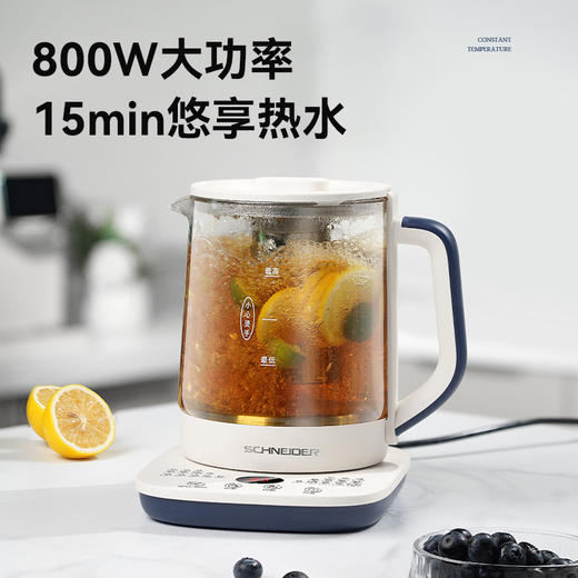 SCHNEIDER（施耐德）多功能养生壶1.5L SWK-XHSL07 商品图3