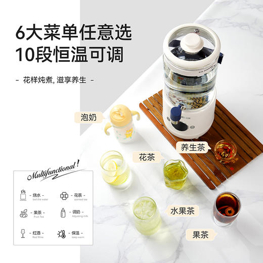 SCHNEIDER（施耐德）全玻璃花茶壶2.8L SWK-XHSL316 商品图6