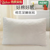【4月】帝豪家纺 棉花深睡眠枕【7F童床】[广百北京路店] 商品缩略图0