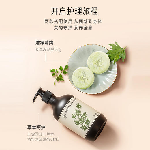 正安国货·艾叶草本精华沐浴露  清爽芳香天然艾草精华沐浴液 商品图4