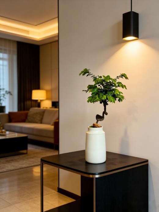 提根紫檀 商品图0