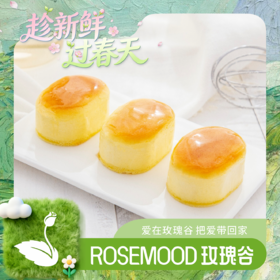 半熟芝士（3粒装）