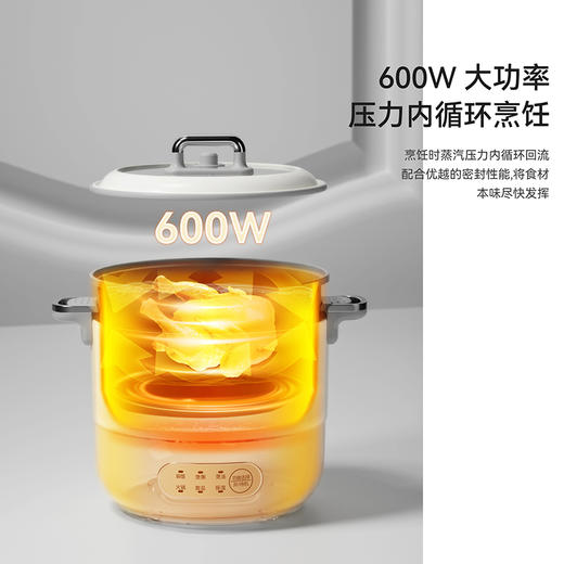 SCHNEIDER（施耐德）多功能微压锅1.5L SWK-XFL15 商品图7