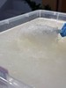【雨季溯源团购】实惠中盏 商品缩略图7
