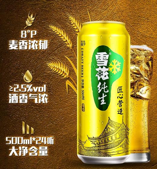 【2件十堰主城区包邮】雪花纯生啤酒整件 500ml*12罐/件 商品图4