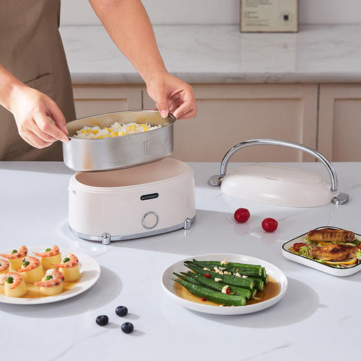 SCHNEIDER（施耐德）电热饭盒1.2L SWK-XFHL13 商品图12