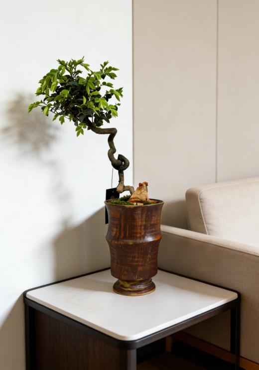 提根紫檀 商品图2