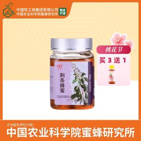 买3送荔枝蜂蜜 华兴牌 荆条蜂蜜450g 中国农业科学院蜜蜂研究所 有效期至2026-11-09