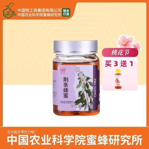 买3送荔枝蜂蜜 华兴牌 荆条蜂蜜450g 中国农业科学院蜜蜂研究所 有效期至2026-11-09 商品图0