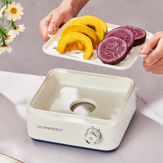 SCHNEIDER（施耐德）电蒸锅0.5L SWK-XDL01 商品图9