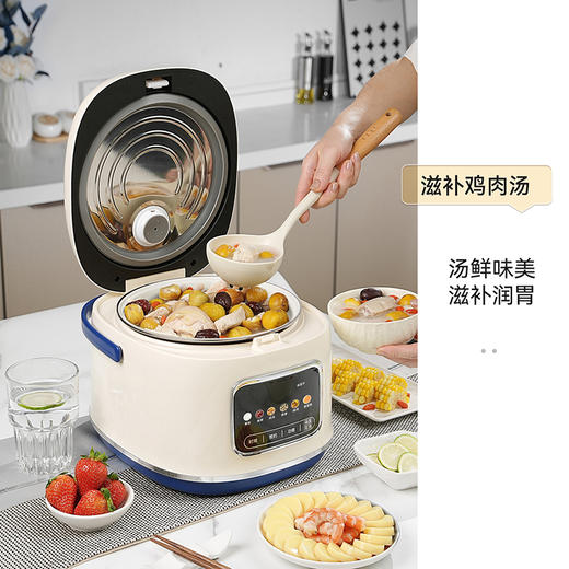 SCHNEIDER（施耐德）智能电饭煲4L SWK-XFL47 商品图5