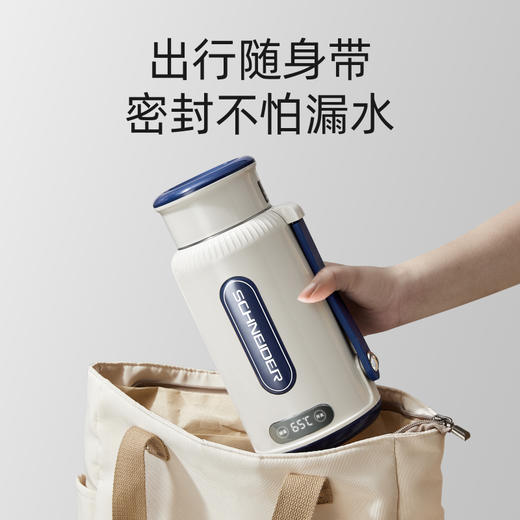 SCHNEIDER（施耐德）便携式电热水壶800ml SWK-XRL01 商品图1
