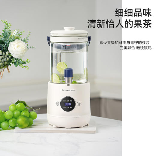 SCHNEIDER（施耐德）全玻璃花茶壶2.8L SWK-XHSL316 商品图7