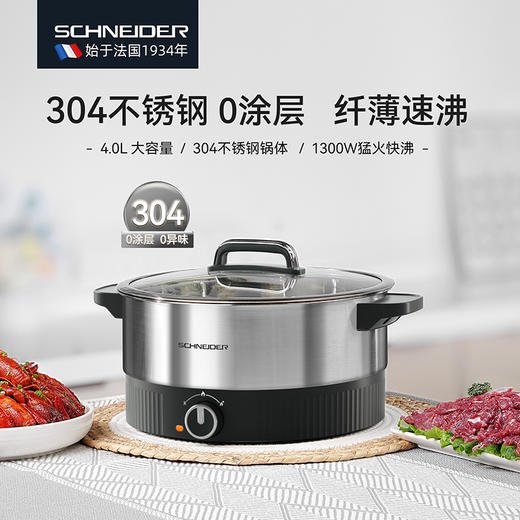 SCHNEIDER（施耐德）多功能电煮锅4L SWK-XDZ03 商品图0