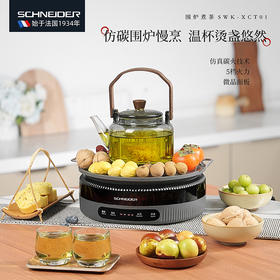SCHNEIDER（施耐德）围炉煮茶600ml SWK-XCT01