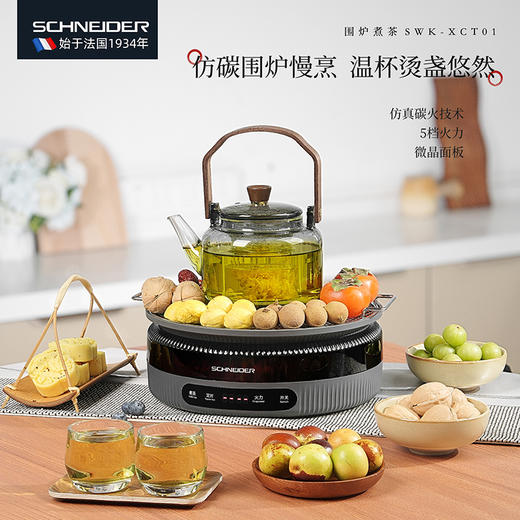 SCHNEIDER（施耐德）围炉煮茶600ml SWK-XCT01 商品图0