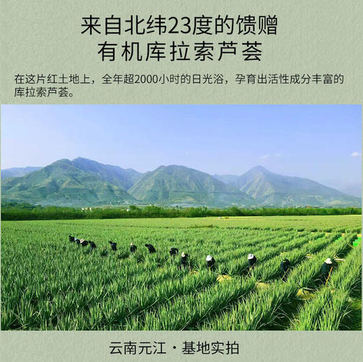 乐活田园芦荟胶 商品图2