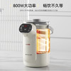 SCHNEIDER（施耐德）恒温一体式开水瓶3L SWK-XSPL25 商品缩略图9