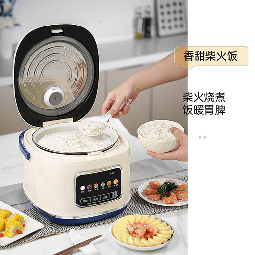 SCHNEIDER（施耐德）智能电饭煲4L SWK-XFL47 商品图4