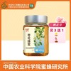 买3送荔枝蜂蜜 华兴牌 枣花蜂蜜450g 中国农业科学院蜜蜂研究所出品 商品缩略图0