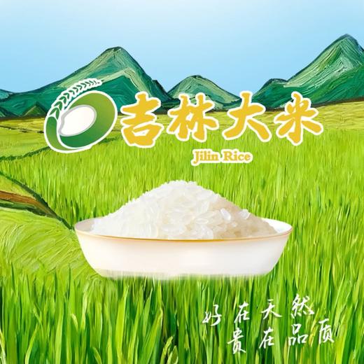 【福临门】雪原黑土贡米 5kg | 金奖品质·吉林贡米之乡 | 长粒香Q弹有嚼劲 商品图1
