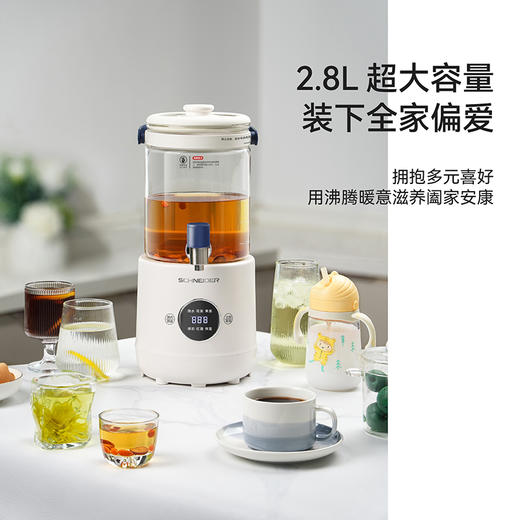 SCHNEIDER（施耐德）全玻璃花茶壶2.8L SWK-XHSL316 商品图5
