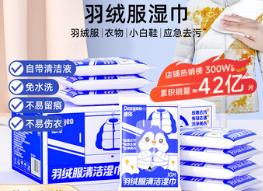 衣物去渍湿巾 商品图0