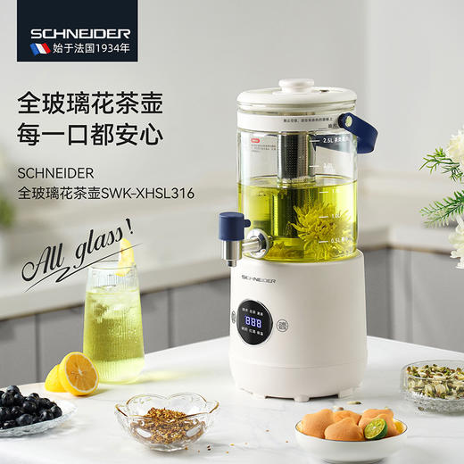 SCHNEIDER（施耐德）全玻璃花茶壶2.8L SWK-XHSL316 商品图0