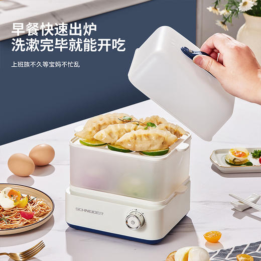 SCHNEIDER（施耐德）电蒸锅0.5L SWK-XDL01 商品图2