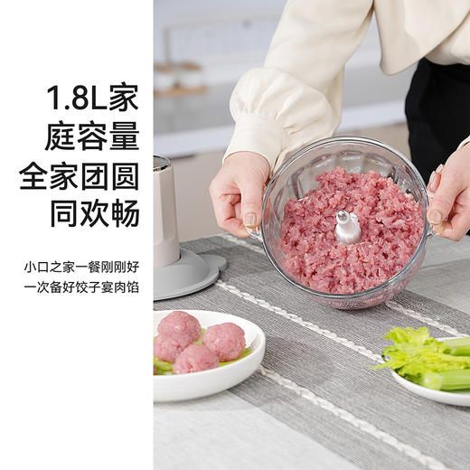 SCHNEIDER（施耐德）绞肉机1.8L SWK-XJ01 商品图1