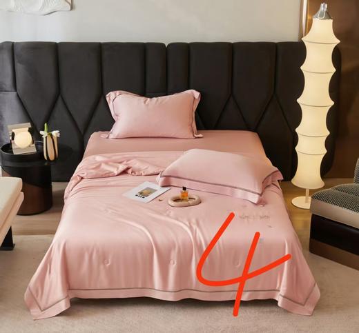 CP竹纤维绣花金蚕丝抗菌被985 商品图3