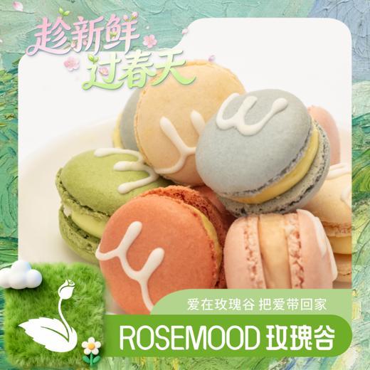 mini马卡龙 商品图0