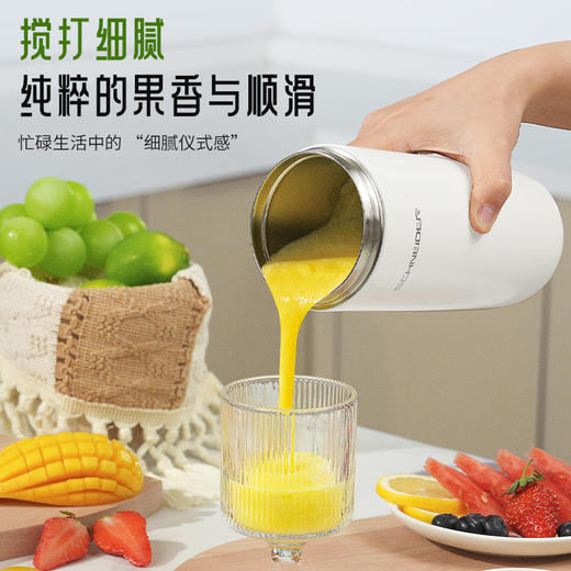 SCHNEIDER（施耐德）榨汁料理杯400ml SWK-XLL01 商品图1