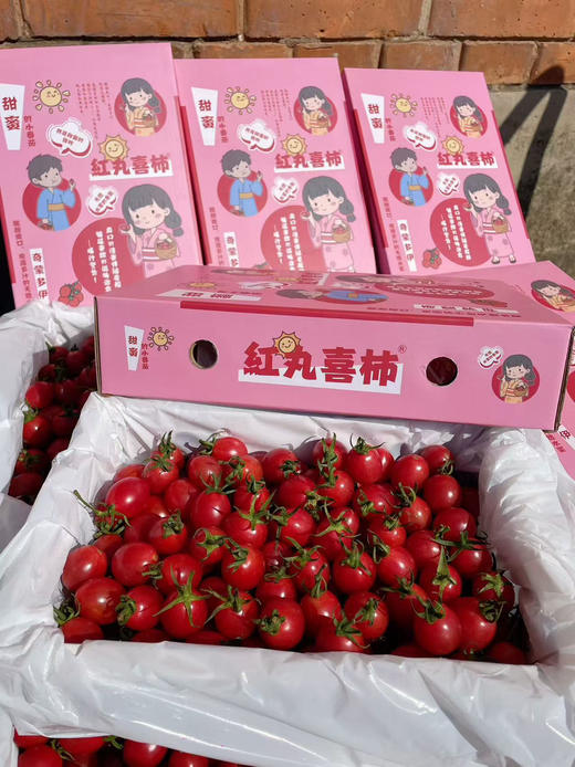 刘婆婆小甜甜千禧 小番茄 圣女果 好吃的甜番茄 商品图3