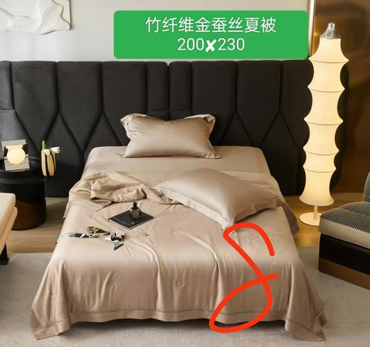 CP竹纤维绣花金蚕丝抗菌被985 商品图2