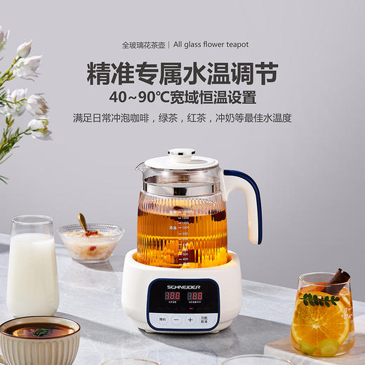 SCHNEIDER（施耐德）全玻璃花茶壶1.3L SWK-XHSL03 商品图1