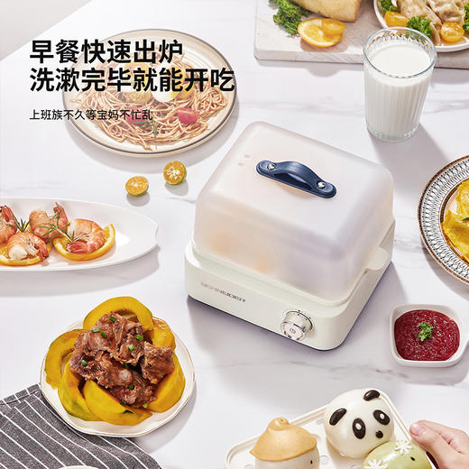 SCHNEIDER（施耐德）电蒸锅0.5L SWK-XDL01 商品图3