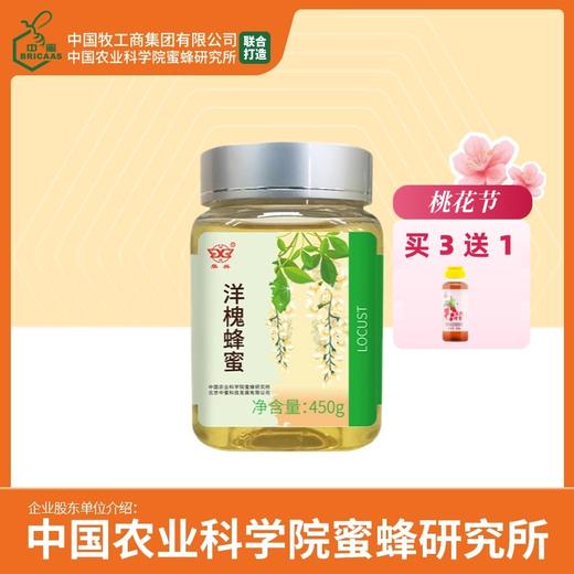 买3送荔枝蜂蜜 华兴牌 洋槐蜂蜜450g 中国农业科学院蜜蜂研究所打造 商品图0