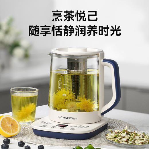 SCHNEIDER（施耐德）多功能养生壶1.5L SWK-XHSL07 商品图1