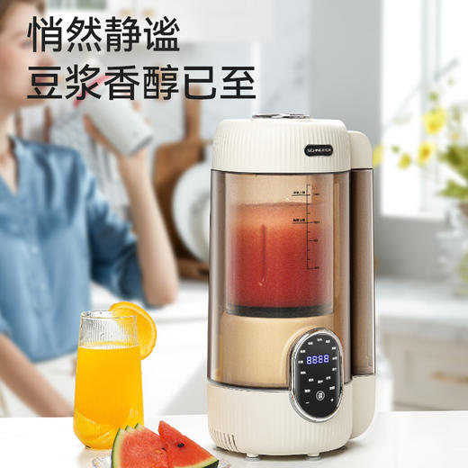 SCHNEIDER（施耐德）破壁机1.6L SWK-XPL02 商品图1