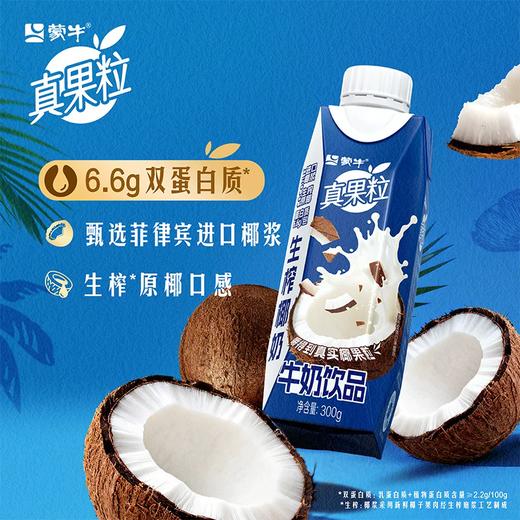 300ml*10蒙牛真果粒生榨椰奶 商品图1