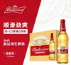 [啤酒]百威啤酒经典纯生500ml*12瓶 商品缩略图0