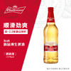 [啤酒]百威啤酒经典纯生500ml*12瓶 商品缩略图2