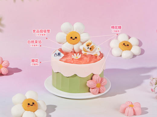 ※【柴柴的春日花信】4英寸冰淇淋/水果生日蛋糕 商品图1