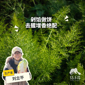 生态茴香 | 绿家自产*Ecological anise | In-House Production