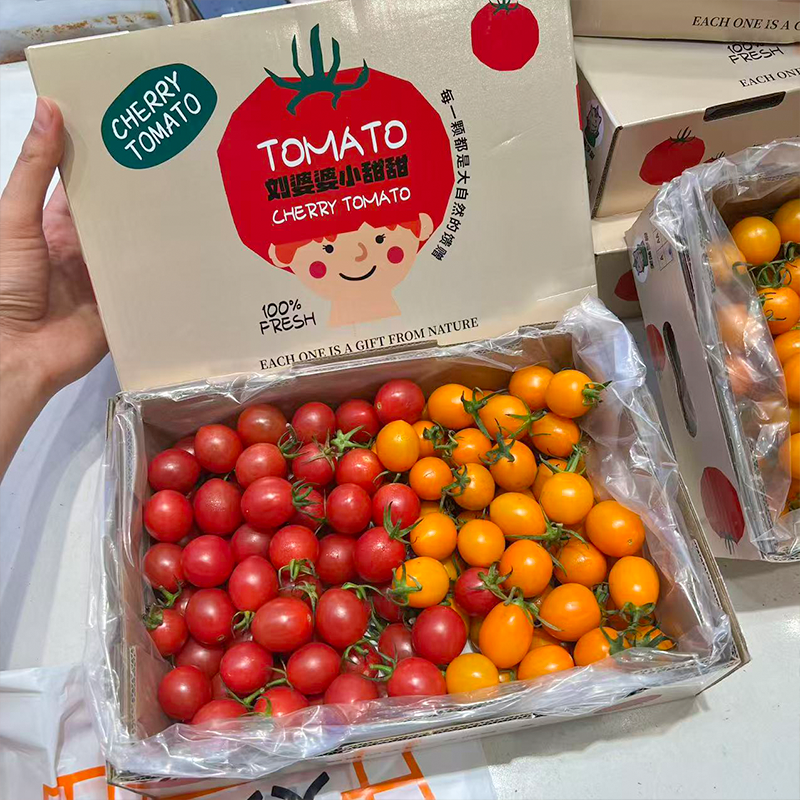 双色千禧番茄 红+黄 两种口味一起拥有